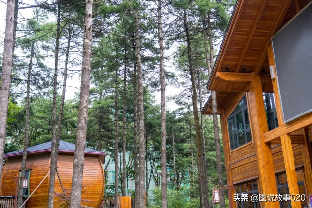 洛阳白云山山顶小木屋价格,洛阳白云山森林小木屋