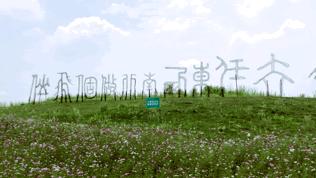 双流哪里可以赏花看飞机,双流附近赏花攻略路线