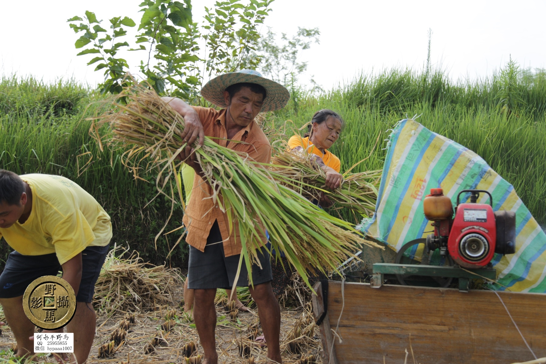 广安撤县名单查询,70年广安县有多少个人民公社