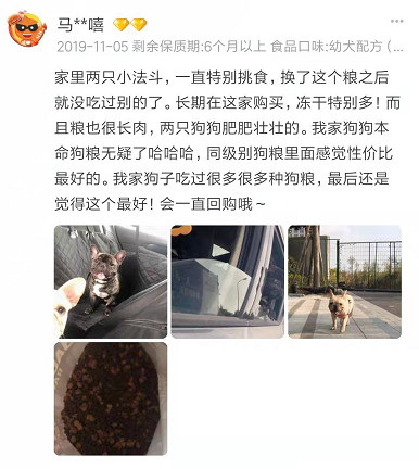 家有狗子,家有狗子视频完整版