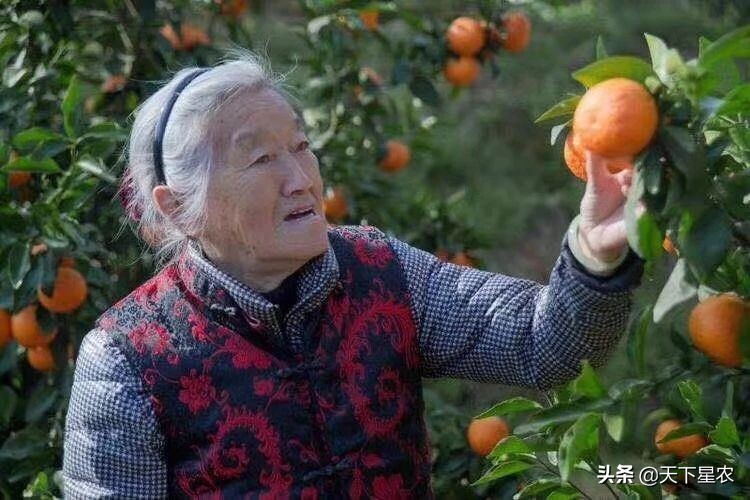 云品出滇飘香京城,云品厨出滇