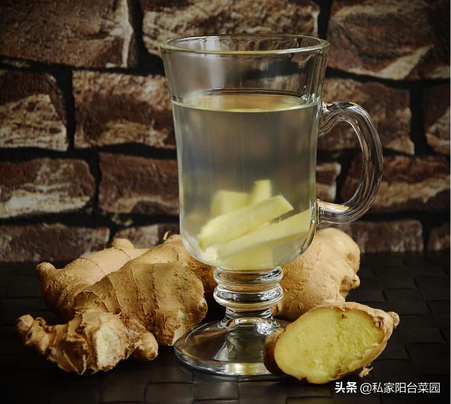 生姜怎样种植才能出姜率高,生姜种植技术怎样选择姜种