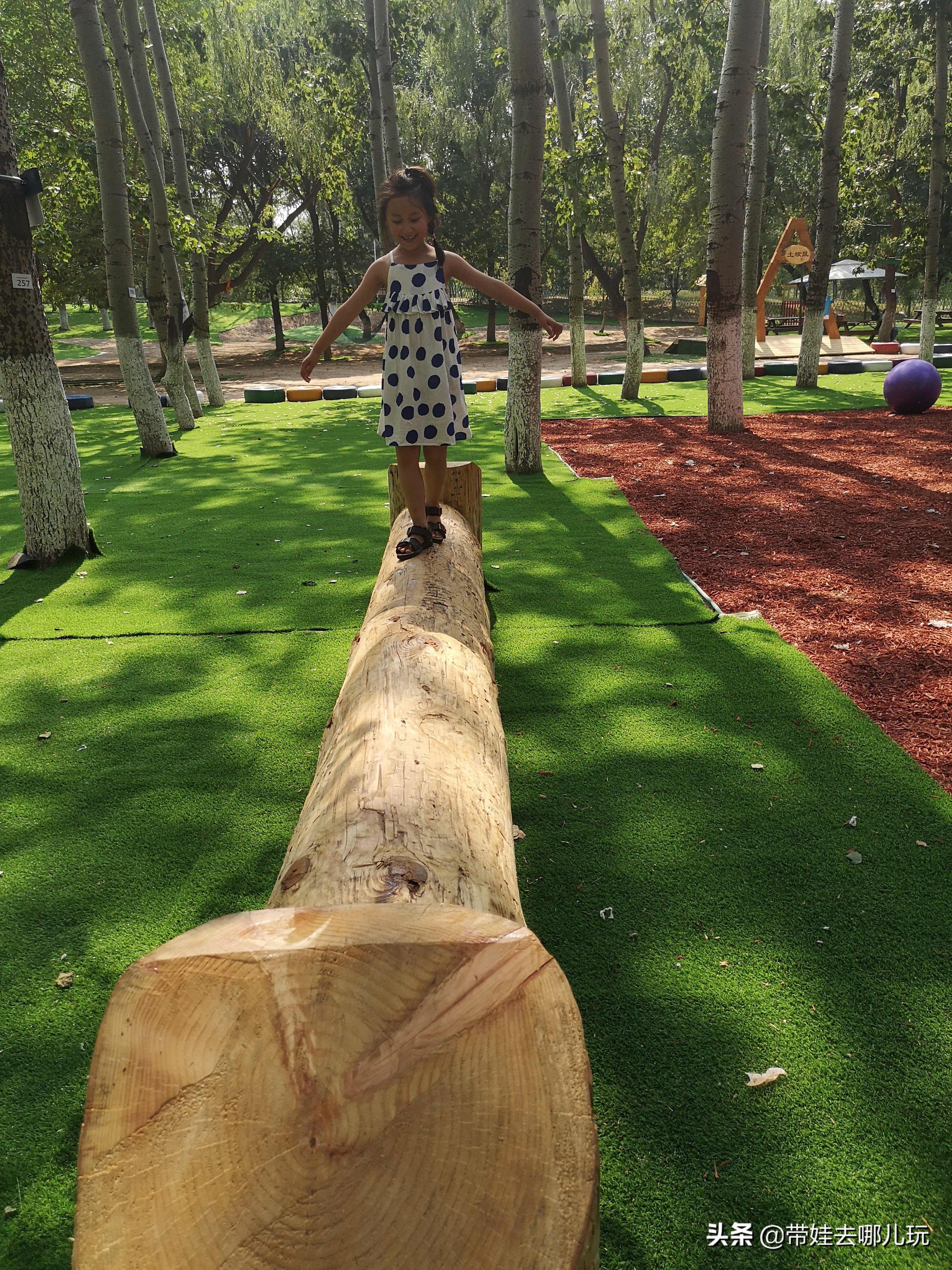 奥森公园遛娃,奥森北园有什么好玩的吗