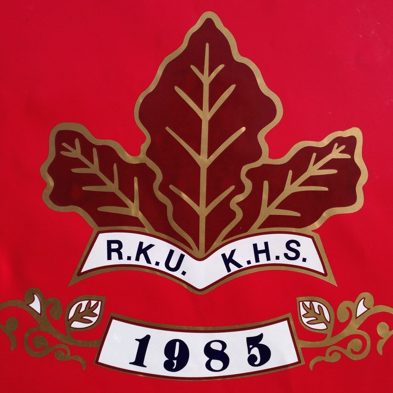 第100届日本高中足球决赛全场,一张图看懂日本高中足球锦标赛