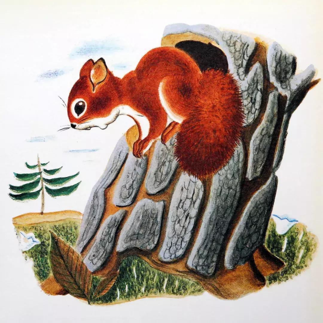 羞答答的小猫绘本故事,绘本阅读有趣的小猫