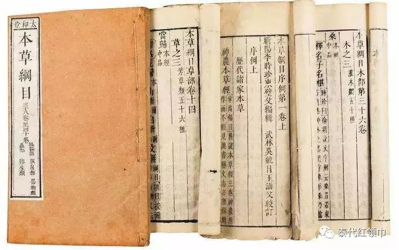 青草膏四季通用,滋润修复青草膏