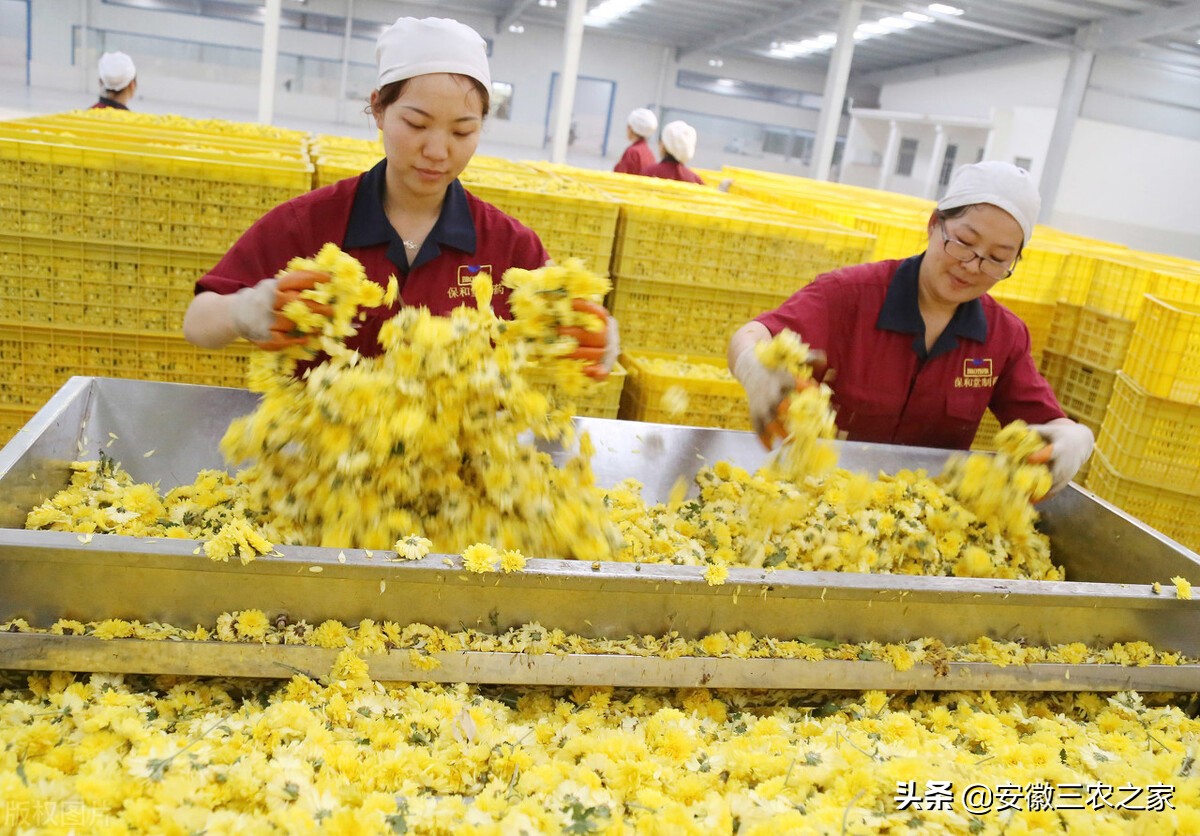 返乡创业最有效的方法,返乡创业不再迷茫