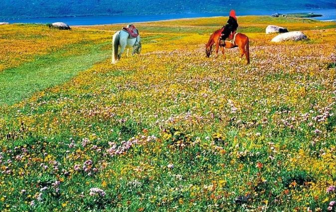 甘孜5日旅游攻略最新,四川旅游团去甘孜旅游攻略