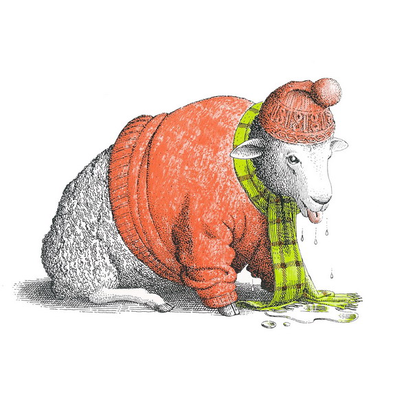 有意思的儿童绘本推荐书单,很有趣的小孩书