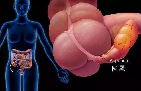 我在快手上看人切洋葱，竟然弄懂了剖腹产？