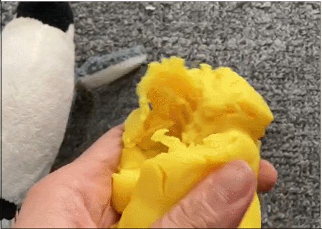 彩泥安全不,符合安全标准的彩泥有哪些