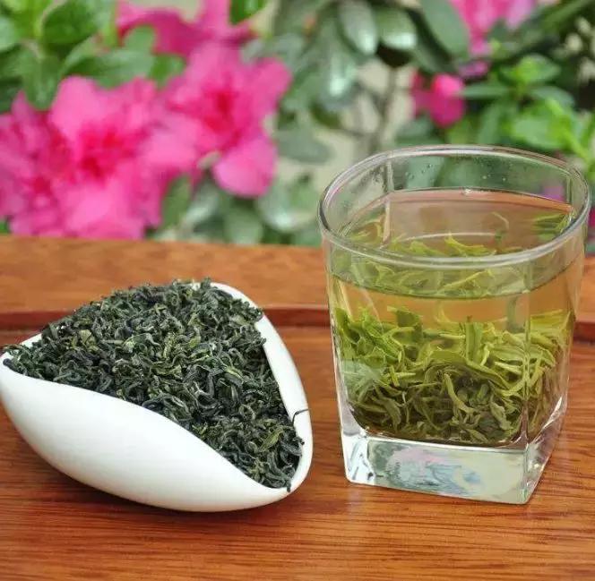 5句顺口溜教你买茶选茶不踩坑,新手买茶叶的正确方法