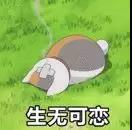 GPA、熬夜、异国恋...你占了几个？