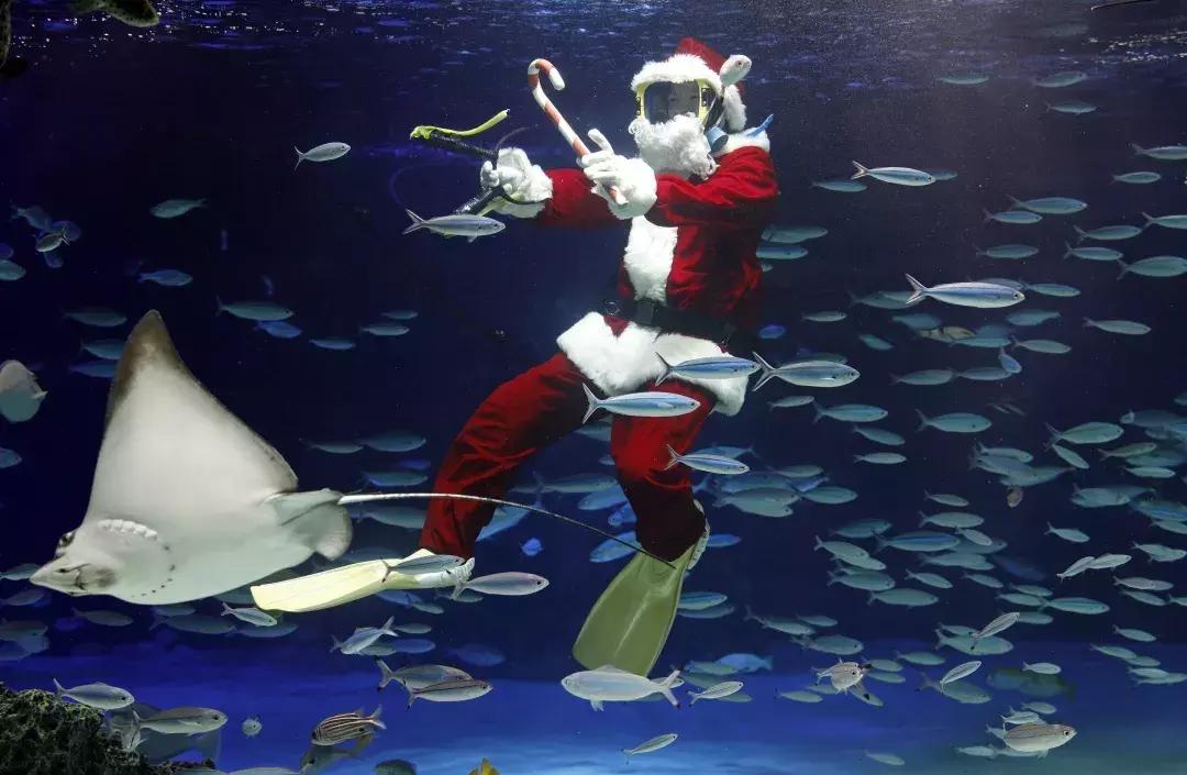 西安最奇幻的商场献上圣诞大礼！跨年更有“夏天的风”温岚助阵~