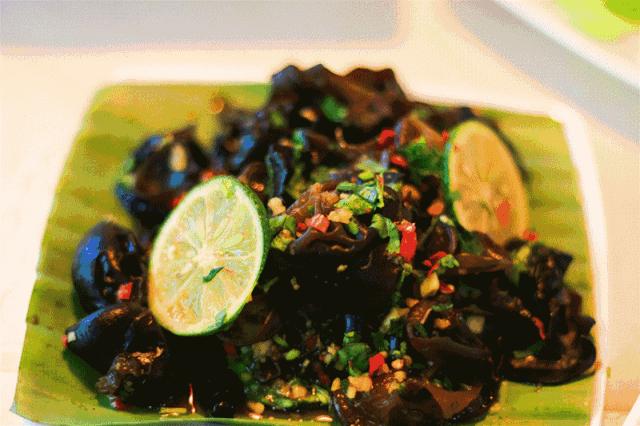 向往的生活第四季西双版纳第一集,向往的生活第四季西双版纳拍摄地