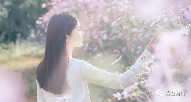 「品读」我的前男网友——以后真的不单独见面吗?/江河之王