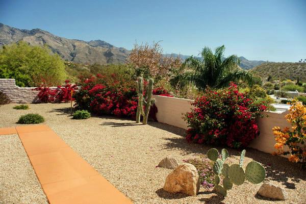 单反镜头里面的霉丝怎么处理,单反镜头进灰