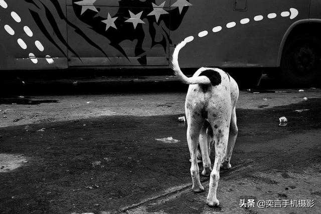 街拍相机摄影技巧教程图解,街拍鞋子摄影技巧视频