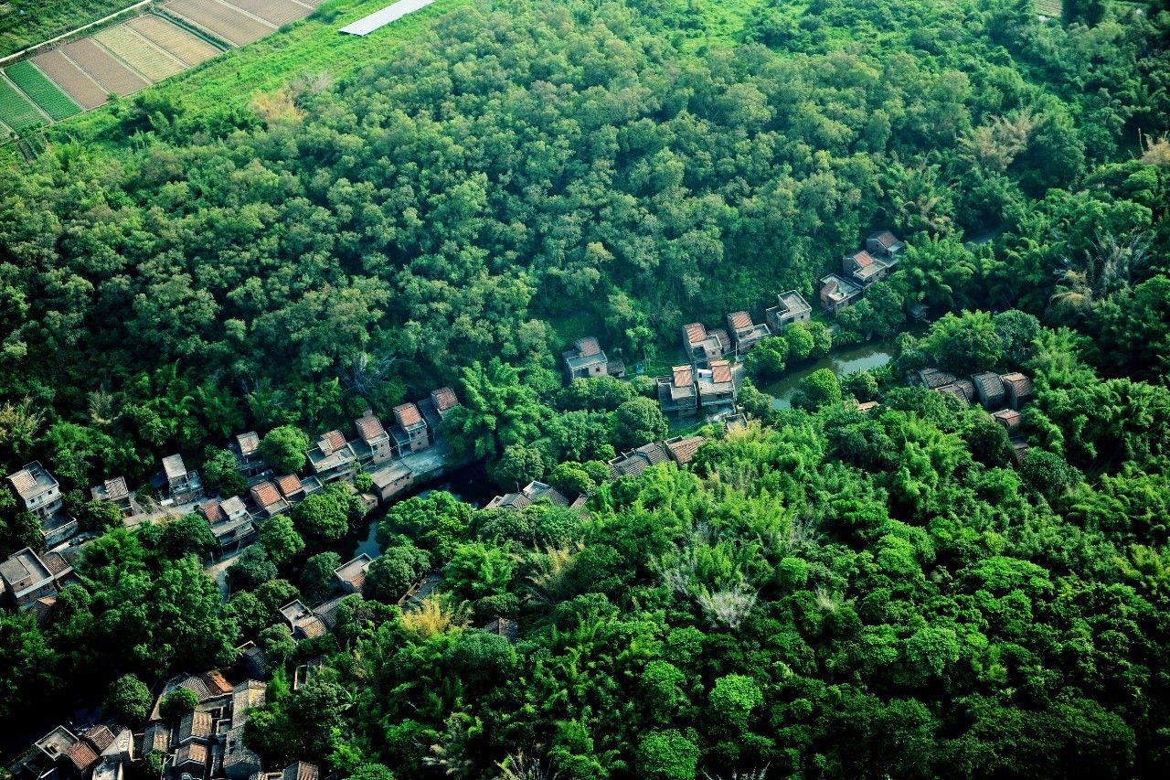 林业乡村振兴战略思路,乡村振兴电商新模式