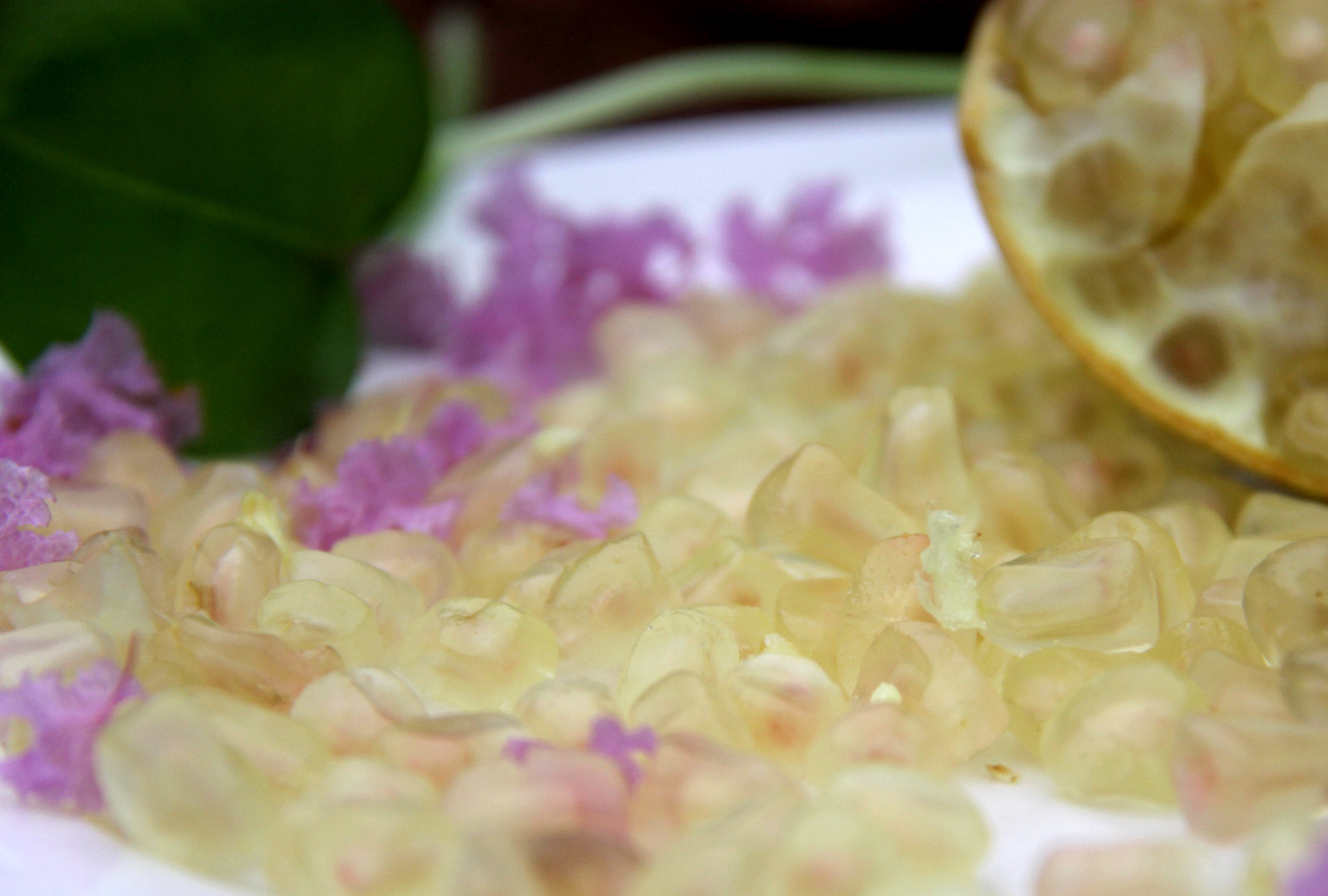 玉石籽石榴花色,白花玉石籽石榴历史