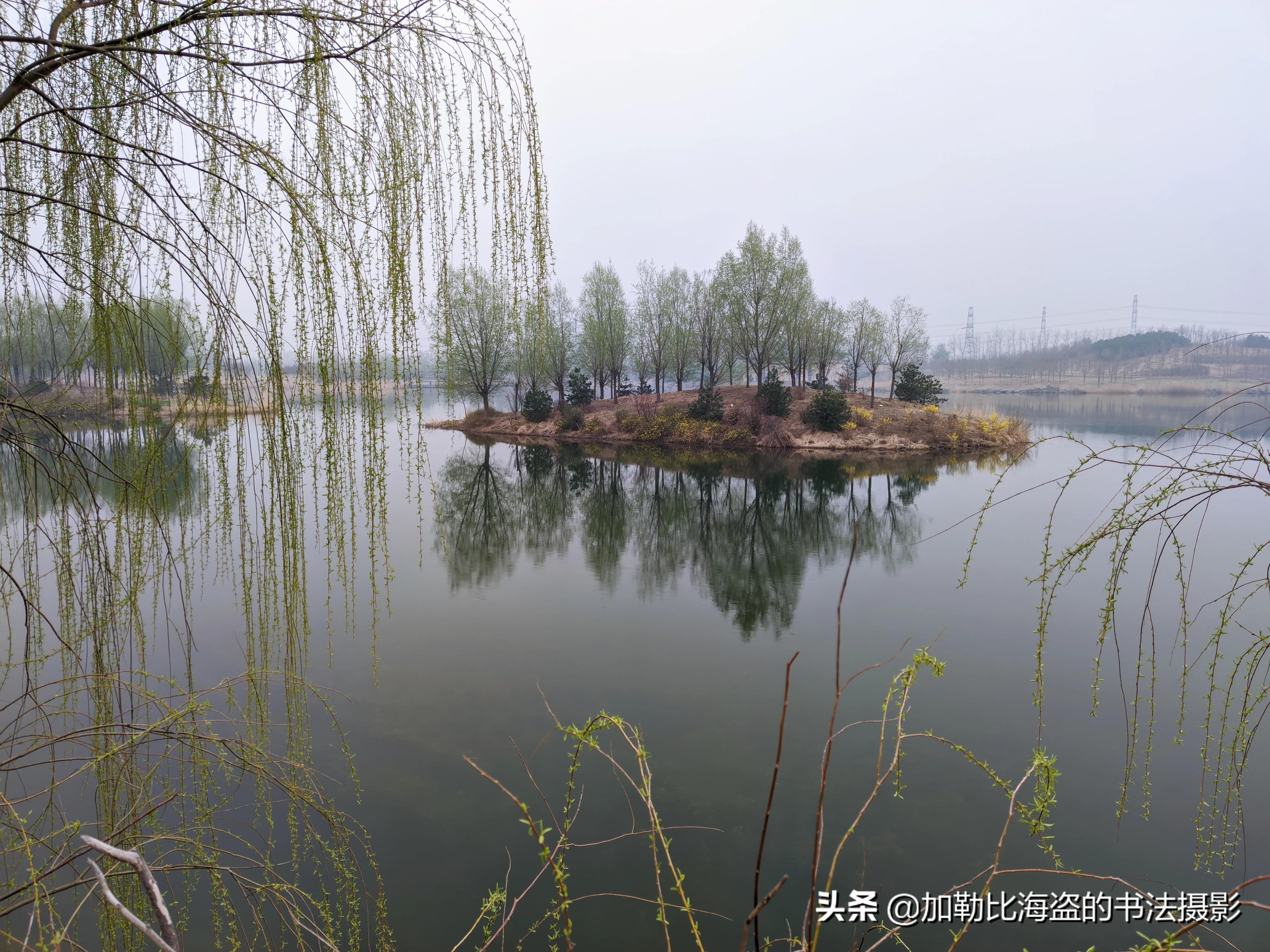 如何在公园里拍出氛围感照片,公园摄影怎么拍出高级感