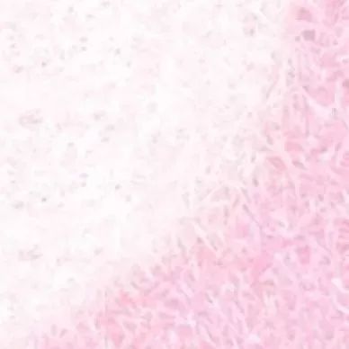 情人节朋友圈九宫格拼图模板,情人节心形九宫格图片