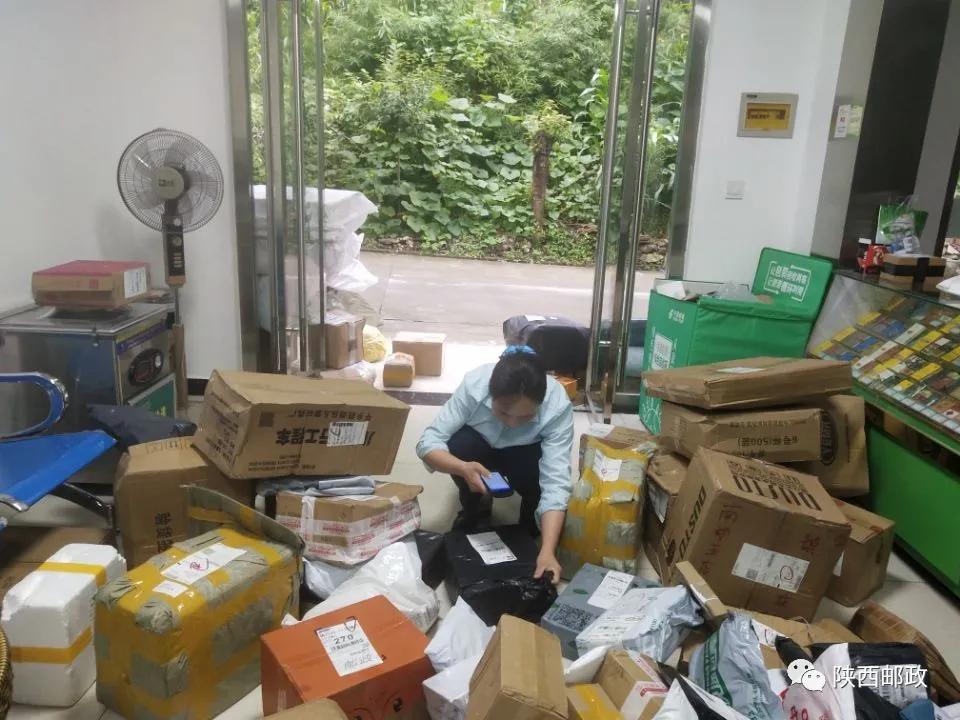 身边榜样丨王永碧：扎根深山 服务百姓