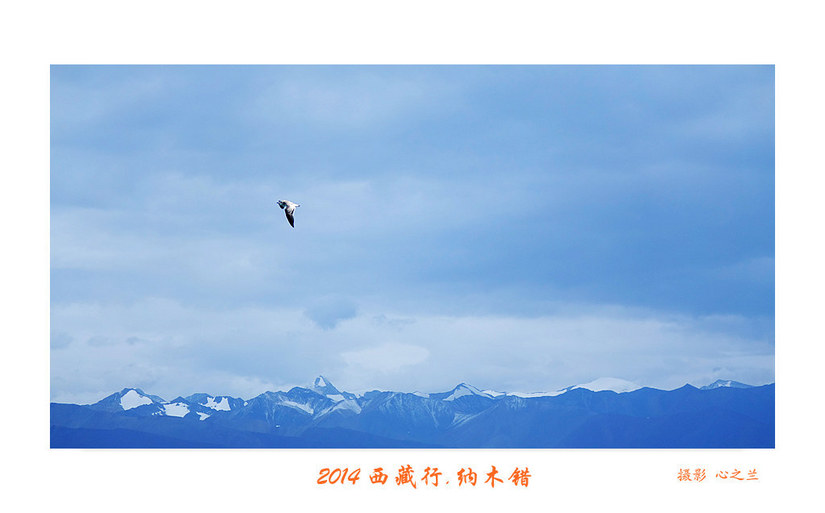 绾虫湪閿欏績涓殑鍦ｅ湴,蹇冮噷鐨勫湥鍦扮撼鏈ㄩ敊