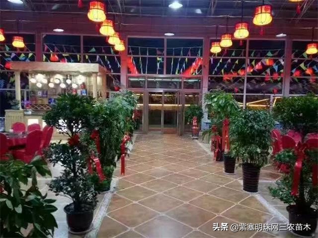 承德德润祥家庭农场,承德市德润祥家庭农场