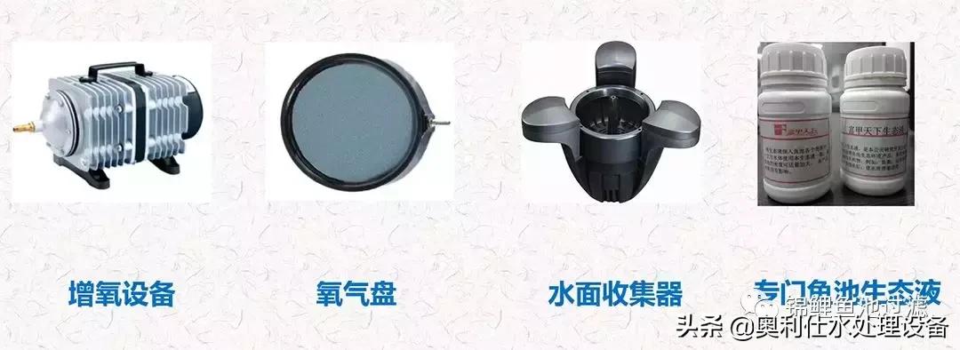 锦鲤鱼池过滤仓建造过程视频,锦鲤鱼池最好的过滤方式