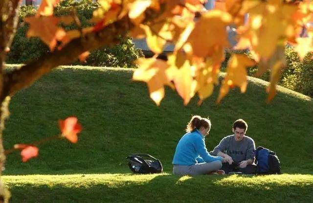 留学生回国什么东西不可带,留学回来不能进公检法吗