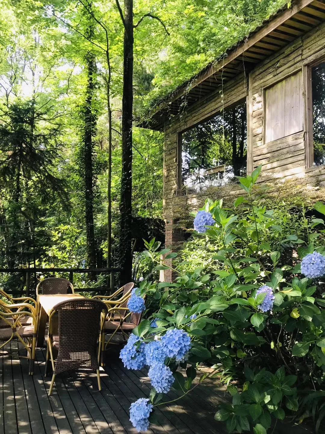 铜梁巴岳山森林木屋,巴岳山树屋