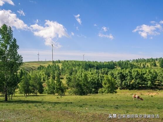 夏天最美的草原大环线，一次看尽万般风景-张北中都草原祈福人家