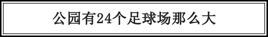 相当于112个足球场的图片,深圳足球公园效果图
