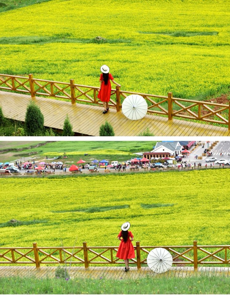 青海婚纱旅拍路线推荐,青海旅拍推荐哪家最好