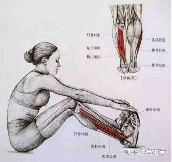 小腿粗可以通过运动改善吗,小腿能粗到什么地步