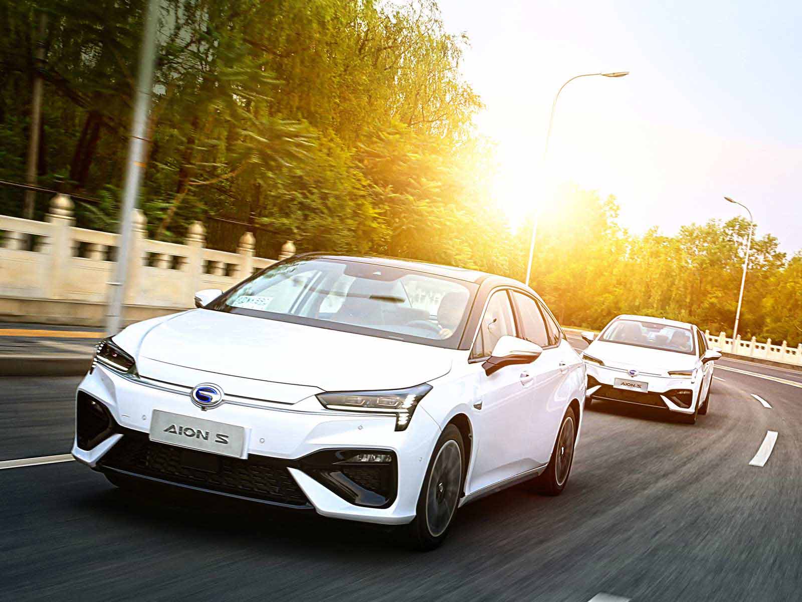 明明可以靠脸吃饭偏偏要靠实力,明明可以靠脸吃饭却要靠实力小说