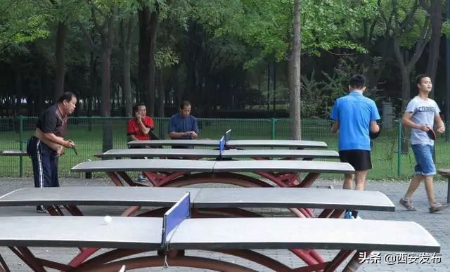 西安发布头条新闻,西安发布的最新消息