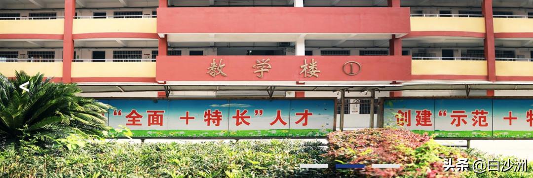 长虹高中白沙洲,白沙洲长虹中学规划