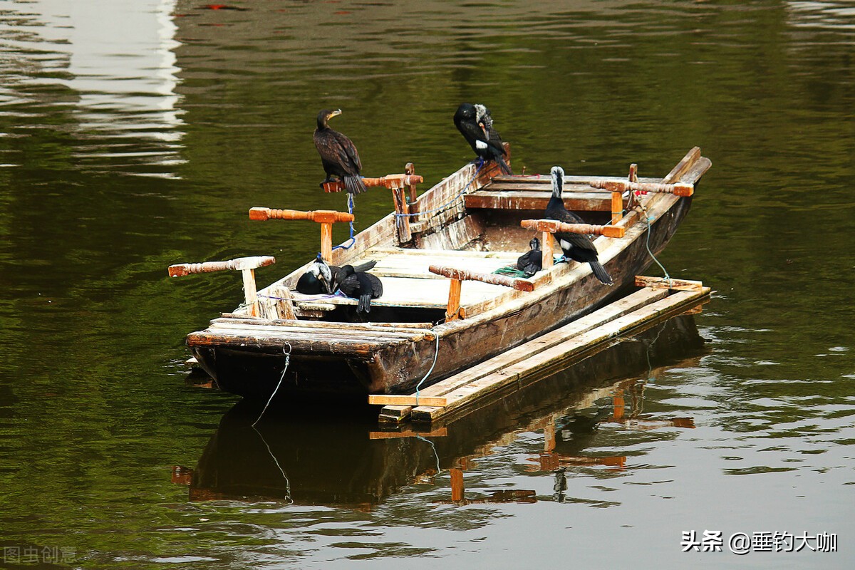 鸬鹚捕鱼为何被禁止,鸬鹚捕鱼危害有多大