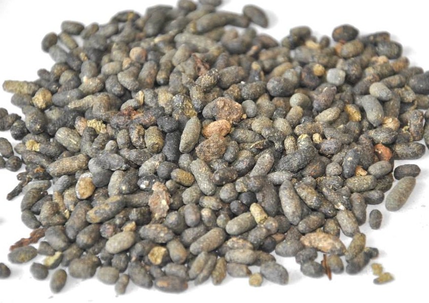 五灵脂可以活血化瘀,中药里的五灵脂有哪些功效