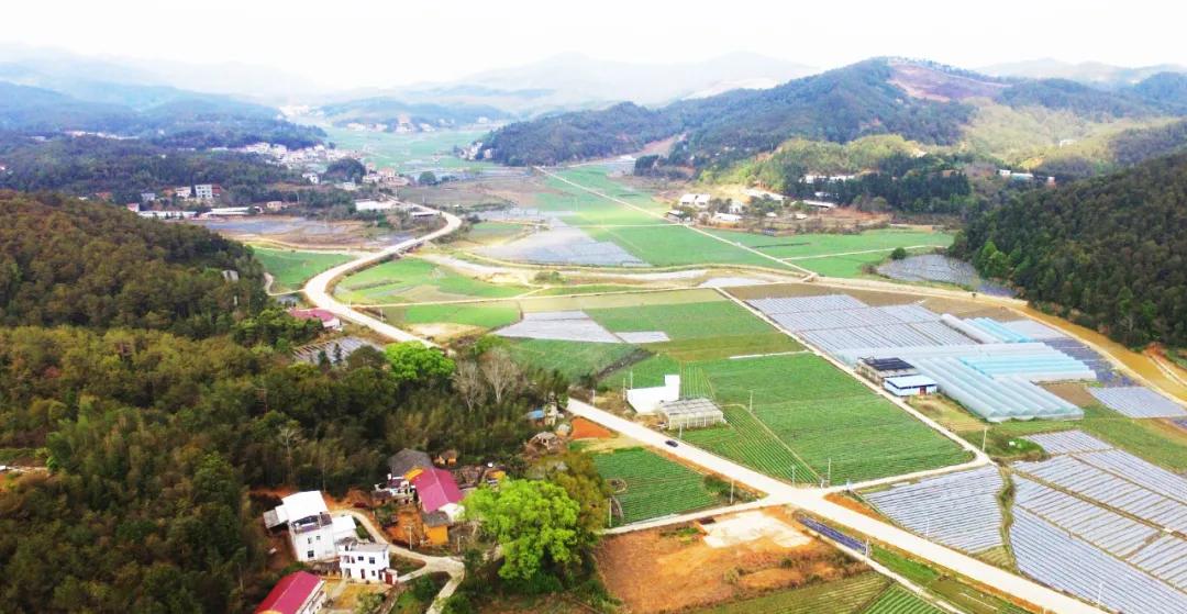 武平东留中学钟维雄老师：从教23年难忘的那些人和事