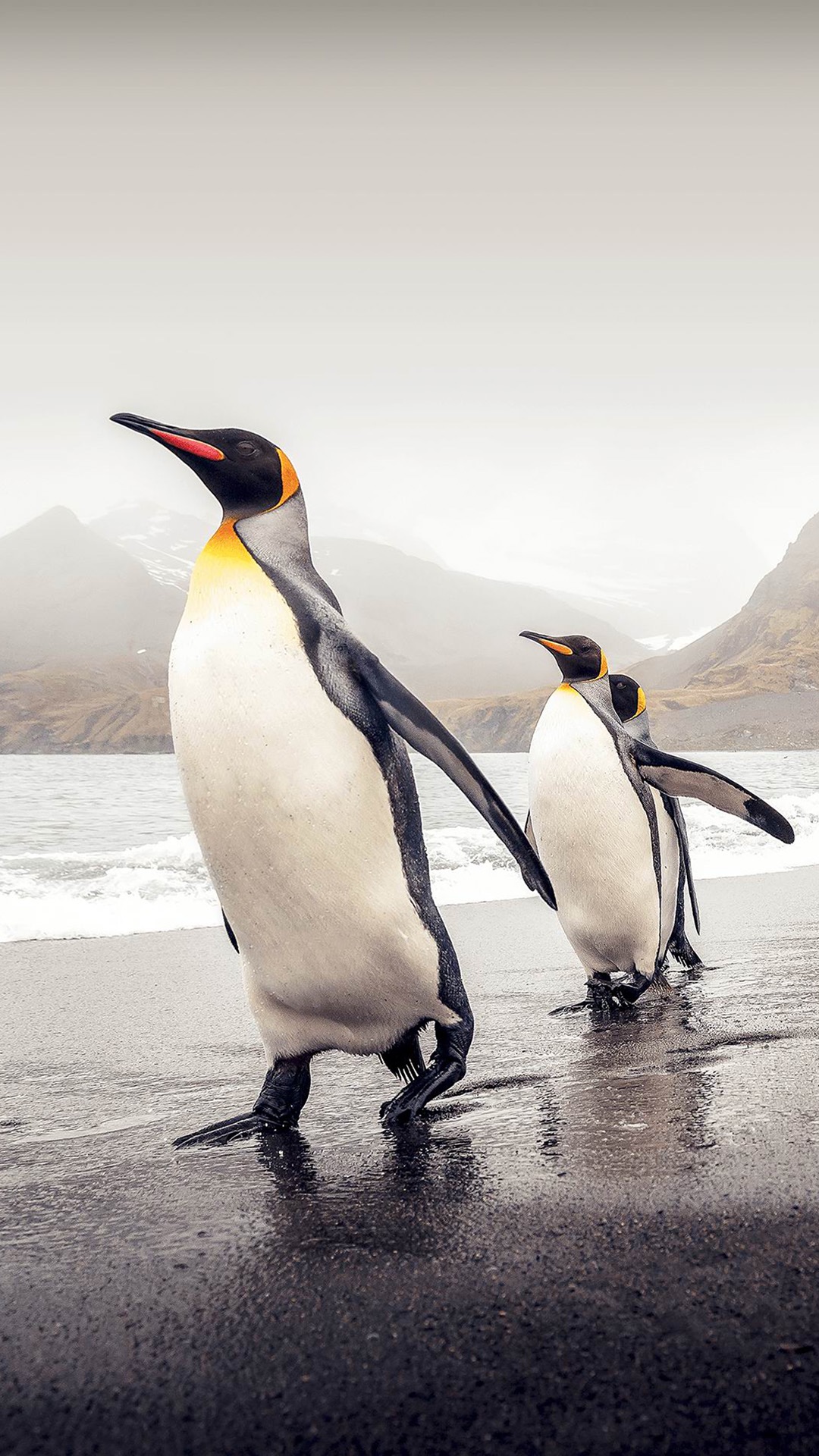 高端大气商务专用手机高清壁纸,特别高级曲面商务桌面壁纸图片