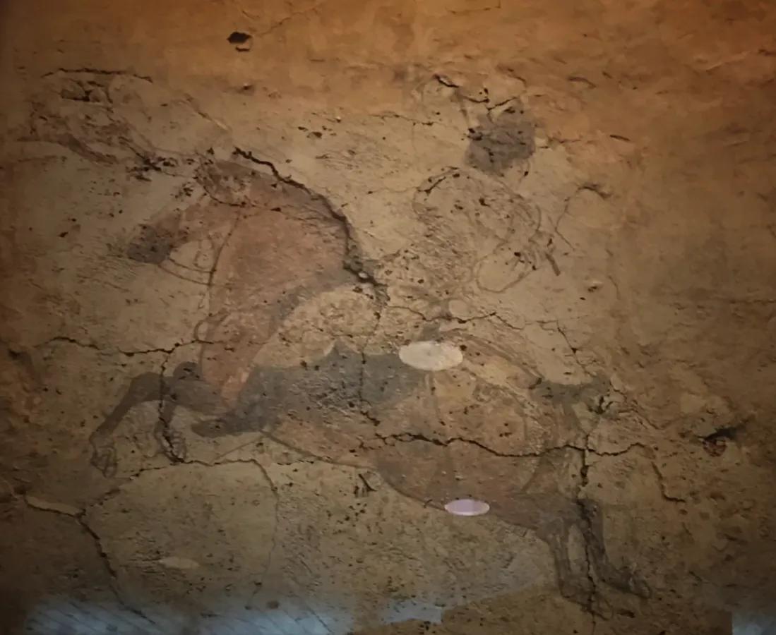 陕西历史博物馆第567个展厅是什么,陕西历史博物馆令人尴尬的展物