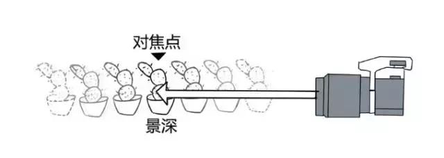 拍照模糊的方法是什么,拍照模糊如何去掉