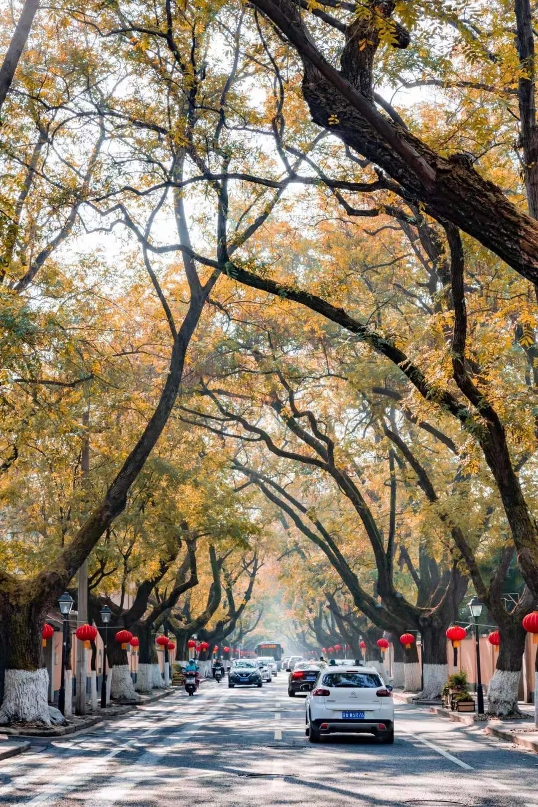 生活在南京的真实感受,南京适合生活嘛