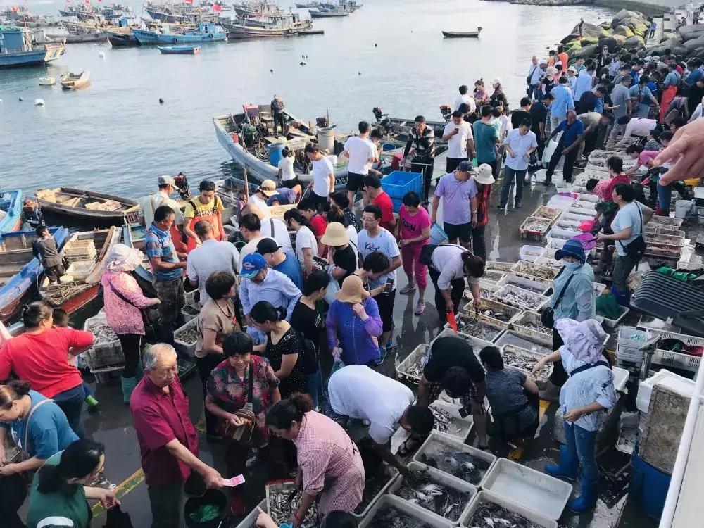 威海海鲜开海期,威海开海海鲜便宜还是贵