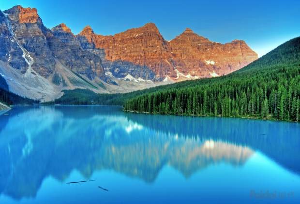 一个购物者的自白观后感,一个淘宝创业人的血泪史完整版