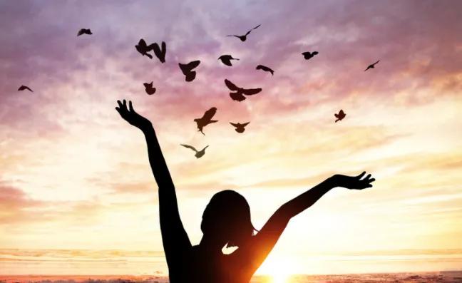 分解梦想,梦想背面慢动作分解0.8