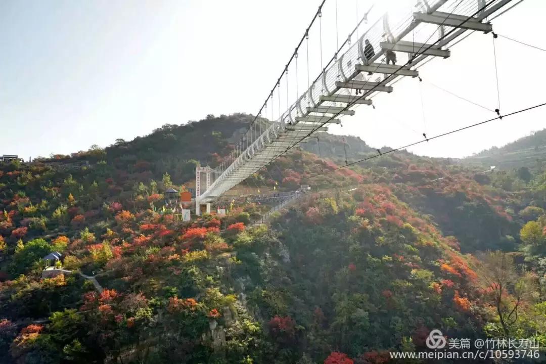 女神节相约美丽,女神节相约一起踏青赏花
